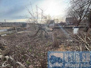 ������ ���� � �������� � ��������� ���, 2 �����, ������� 5 ����� ��������