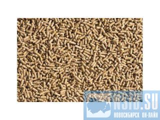 ��������������� ��������� ��� �������� ����� � �������� ������ � �������� ����� ��������