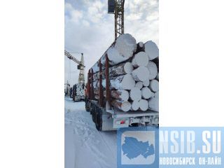 ����, �����������, ����� �����, ������� �� �������������. ������������ ����