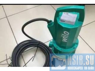 ����� ������ ���� �������� ������ ��� �� ������ 
