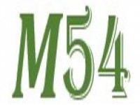 Логотип Мастер54