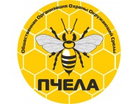 ������� ������������ ����������� ������ ���������� ����� "�����"