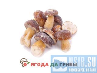 ����� �/� � ������������ �����������